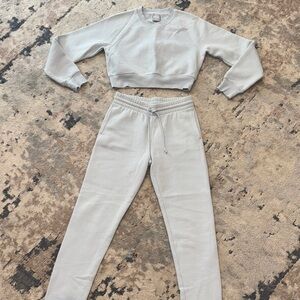 Aritzia Gray Sweat Set